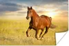 MuchoWow® Poster Pferd - Sonne - Gras - Tier 60x40 cm - Produktbild-Vorschau 1