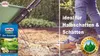 Substral Rasensamen der Schattige 1kg für 50 m² Produktbild-Vorschau 6