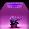 A grow light illuminates a potted plant. Voir les images du produit