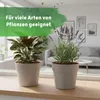 Leni Hydrokultur Komplett-Set mit Blumentopf Kulturtopf Produktbild-Vorschau 9