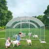 TRMLBE Poulailler 3x8 m Poules Enclos arc toit Acier Voir les images du produit 7