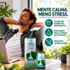Spray Stress – Ashwagandha, Rodiola, Reishi e Schisandra – Anteprima dell’immagine prodotto 2