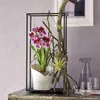 Lechuza Samozavlažovací květináč Orchidea 18 cm, bílá Náhled obrázku produktu 21