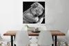 MuchoWow® Poster Koala - Schlafend - Schwarz - Kinder - Produktbild-Vorschau 2