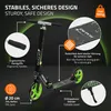 A Hauki Cityroller scooter is shown with various callouts highlighting its features. Náhľad obrázku produktu