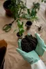 Hands wearing green gloves holding soil, with plants and gardening tools in the background. Produktbild-Vorschau