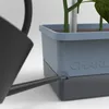 Gusta Garden CHARLY CHILY Štandardný samozavlažovací Náhľad obrázku produktu 14
