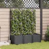 A garden scene with a planter box filled with climbing plants and flowers, set against a wooden fence. Anteprima dell’immagine prodotto