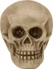Leuchtender Totenkopf LED Dekofigur Produktbild-Vorschau 1