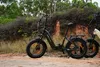 48V 15Ah E-Bike Softtail-Federung 7-Gang Getriebe 20 *4.0" Produktbild-Vorschau 4
