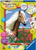 Haflinger Ravensburger 28652 Produktbild-Vorschau 5
