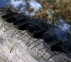 DELPHIN RiverSTIX, cestino per alimenti con peso in piombo, Anteprima dell’immagine prodotto 10