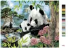 Zuty - Malen nach Zahlen - PANDAS UND WILDE NATUR (HOWARD Produktbild-Vorschau 3