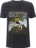 Led Zeppelin T-Shirt Herren Icarus Colour dunkelgrau M Produktbild-Vorschau 3