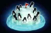 Ravensburger Plitsch-Platsch Pinguin Brettspiel, für Produktbild-Vorschau 8
