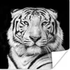 MuchoWow® Poster Tiger - Schwarz - Weiß - Porträt - Tiere Produktbild-Vorschau 1