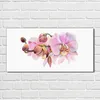 Coloray Bild aus Acryl 100 cm x 50 cm - Wanddekoration Produktbild-Vorschau 2