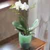 Květináč na orchidej COUBI ORCHID 13 cm - barva: Anteprima dell’immagine prodotto 5