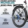 28Zoll E Bike, City E-Bike & E-Hollandrad mit 36V 14.5Ah Produktbild-Vorschau 8