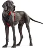 HUNTER Hundegeschirr NEOPREN, rot/schwarz, Produktbild-Vorschau 9