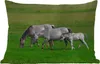MuchoWow® Outdoor Kissen - Pferde - Tiere - Gras - 60x40 cm Produktbild-Vorschau 1