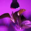 A plant under a grow light. Anteprima dell’immagine prodotto