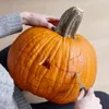 Kameníky na ovoce a zeleninu, dýně, 4 ks. Náhled obrázku produktu 3
