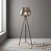 home24 Stehleuchte - Rauchglas / Eisen - 1-flammig Produktbild-Vorschau 4