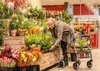 Drive Leichtgewicht Rollator Gigo Produktbild-Vorschau 4