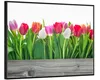 Wallario Wandbild Rote  weiße und pinke Tulpen im Frühling, Produktbild-Vorschau 2