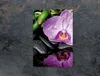A close-up of a purple orchid with water droplets on its petals, resting on black stones, with a green bamboo stalk in the background. The image is set against a dark, textured background. Náhľad obrázku produktu