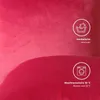 Lionmood Premium Samt Kissenbezug Rot 50x50cm -1er- Velvet Produktbild-Vorschau 6