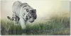 Tulup® Leinwandbild - 140x70 cm - Wandkunst - Drucke auf Produktbild-Vorschau 1