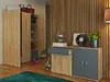 A modern living room with a wooden slatted wall, featuring a two-door cabinet with a drawer, a tall wardrobe, and decorative items. Náhled obrázku produktu