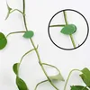 Supports autocollants pour plantes grimpantes, 20 pièces Voir les images du produit 6