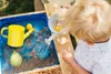 Picknicktisch aus Holz 3in1 Produktbild-Vorschau 4