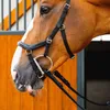 Horseware Ireland Trense Micklem 2 Deluxe Competition Produktbild-Vorschau 3