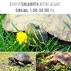 Semená púpavy pre králiky - semená divokých bylín ako Náhľad obrázku produktu 13