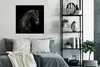 MuchoWow® Poster Pferd - Tier - Schwarz 75x75 cm - Wand Produktbild-Vorschau 4