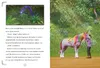 Unicorn Academy - Der verborgene Tempel Produktbild-Vorschau 3