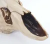 Deko Skull 58cm, Polyresin Hirschgeweih Kopf Trophäe, Produktbild-Vorschau 4
