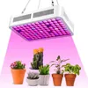 600W Vollspektrum LED Pflanzenlampe, geräuschlos & Produktbild-Vorschau 1