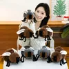 Kawaii Fliege Plüschtier 23cm Cartoon Lustige Fliegen Produktbild-Vorschau 6
