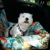 Autostoel voor hond DOGESTE – transportbox en hondenmand Productafbeelding-voorbeeld 4
