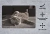 MuchoWow® Mauspad Mousepad Tier - Katze - Grau 27x18 cm - Produktbild-Vorschau 2