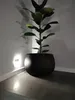 Betonschale DKB290 Blumentopf mit Einsatz | Schwarzer Beton Produktbild-Vorschau 10