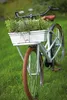 elho green basics Balkonkasten allin1 50cm - lebhaft Produktbild-Vorschau 4