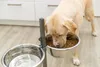 TRIXIE Hundebar, Metall/Edelstahl - diverse - 2 × 4,5 l/ø Produktbild-Vorschau 4