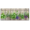 Tableau sur toile « Herbes aromatiques pour la cuisine » 90 Voir les images du produit 2