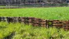 Weide Garten Palisade 100x20cm Satz von 5 Stück. Weidenzaun Produktbild-Vorschau 15